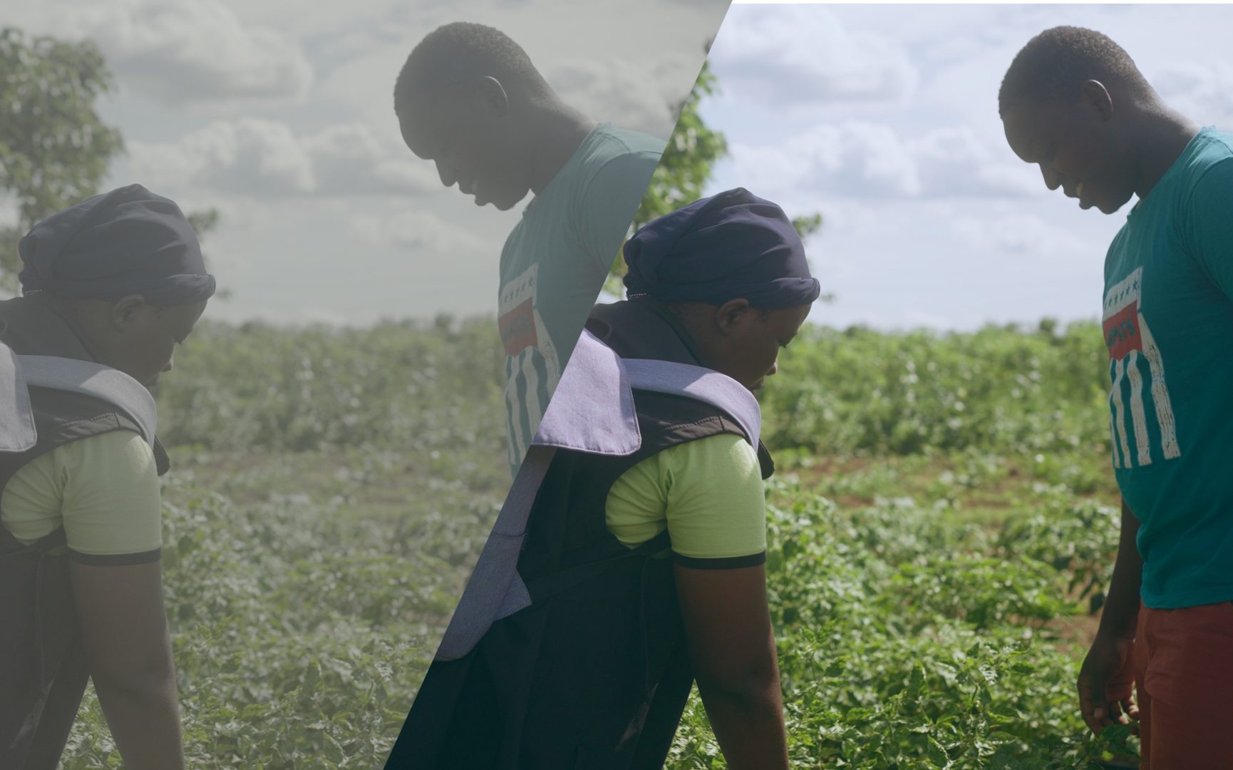 log clip of farmers in Benin republic